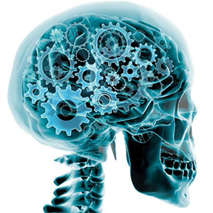 ¿Qué es la Neurofisiología? Conoce el sistema nervioso